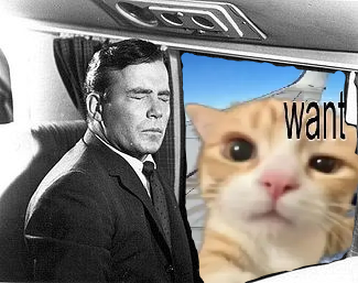 A scene from the classic Twilight Zone episode "Nightmare at 20,000 Feet", with William Shatner's character turned away from the window while the gremlin looks in, but the gremlin has been replaced with the adorable orange kitten from the original meme.