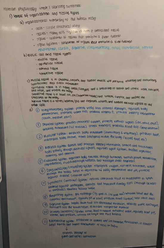 Whiteboard with text answering questions about body structures and tissue organisation.