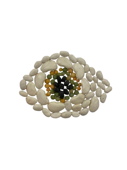 a mosaic of dry beans and lentils creating an eyeball