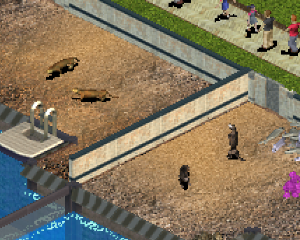 av7lv8.png