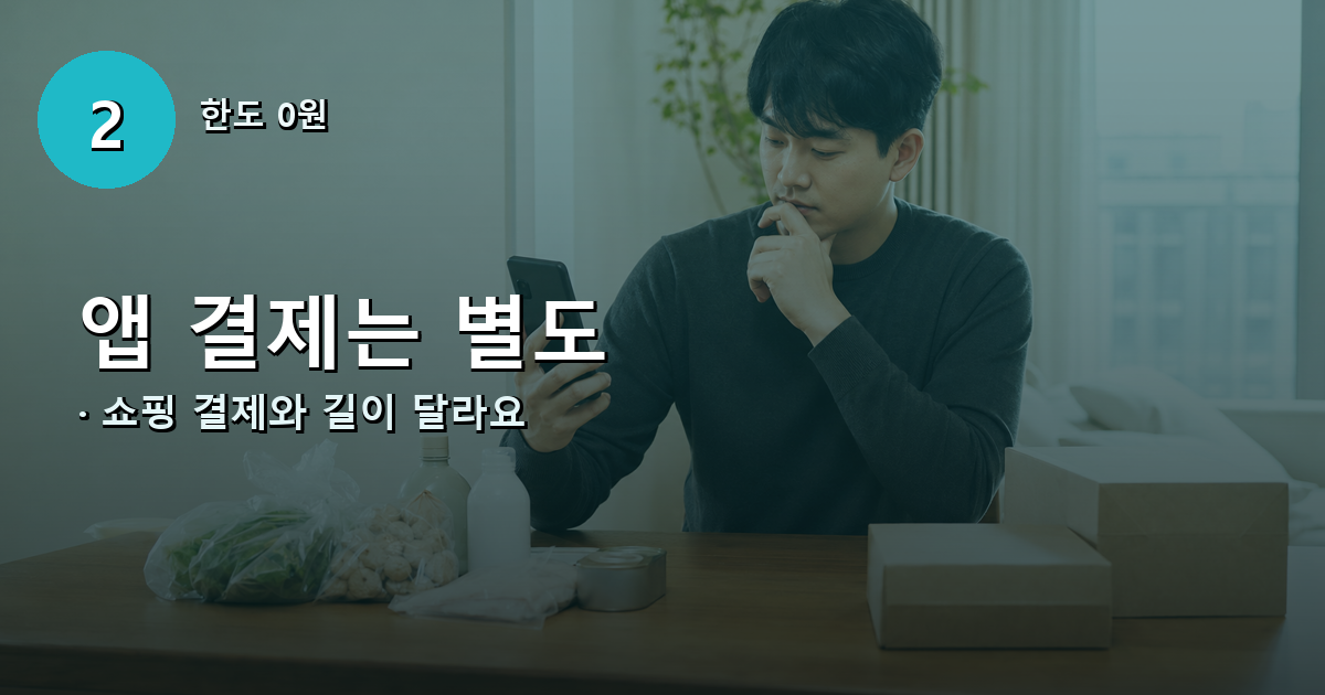 인터넷 상품 결제와 앱스토어 콘텐츠 결제의 차이를 확인하는 모습
