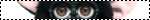 b00r17.webp