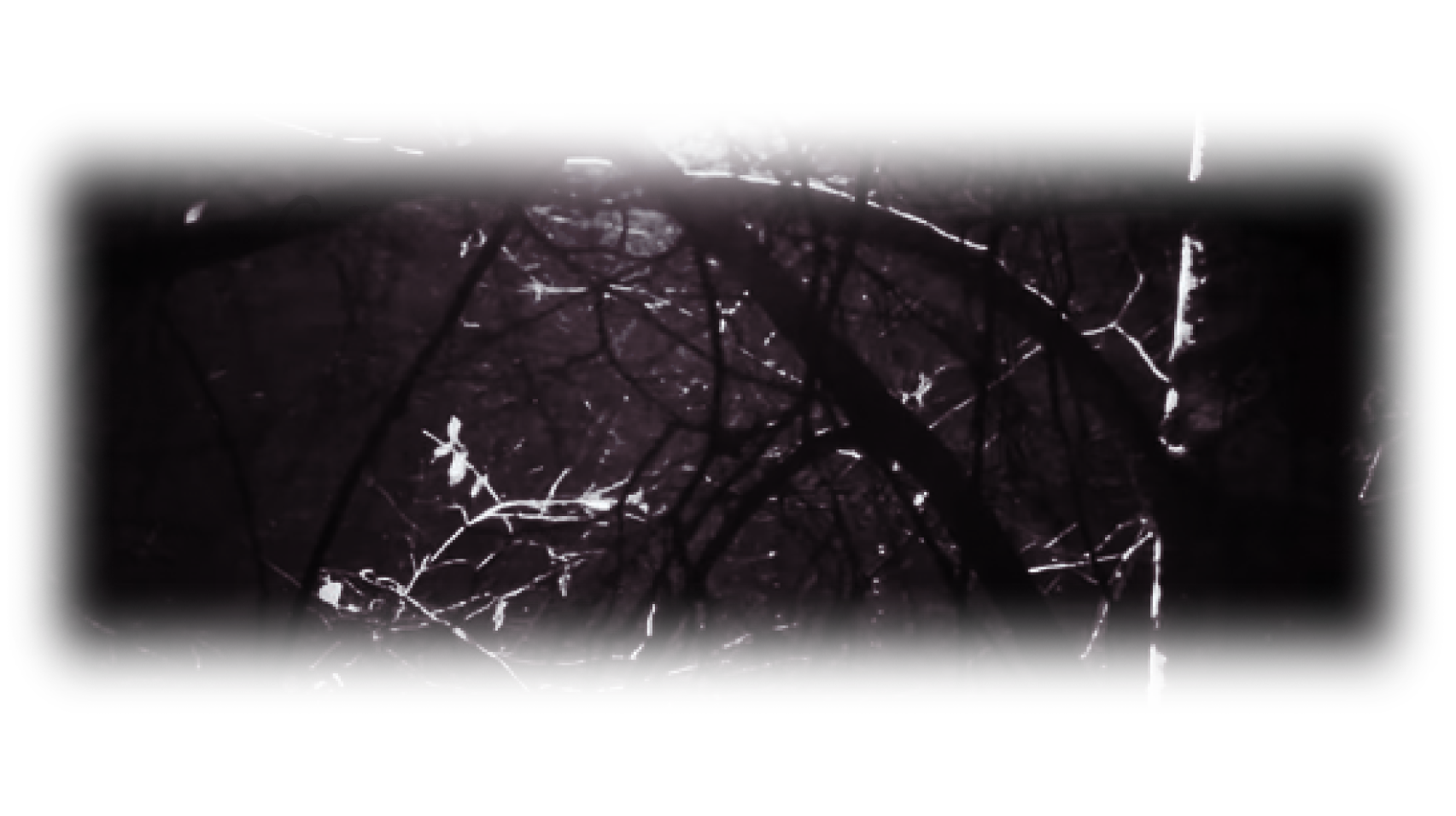 deadsignalx.'s banner