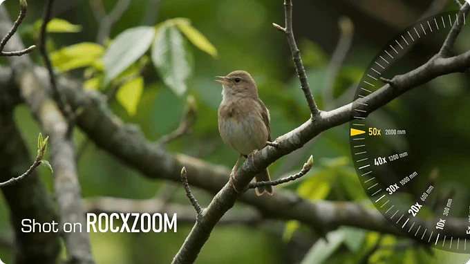 A small brown bird perched on a tree branch with a digital zoom interface overlay on the right side indicating 50x magnification.