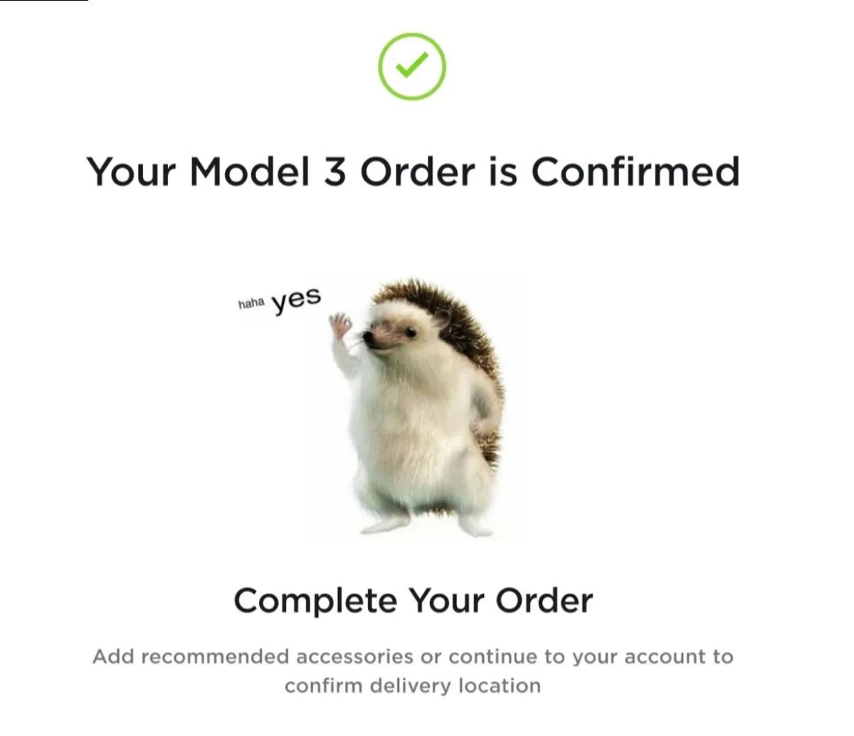 Tesla's Meme Machine: Decoding Its Pop Culture Branding