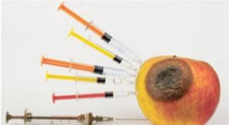 食品欺诈|最后的警钟