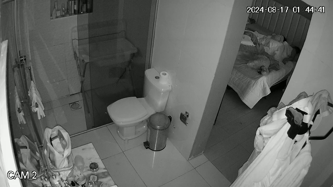 Hidden Voyeur 2 — 1 (2) — screenshot 2