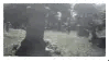 stamp8