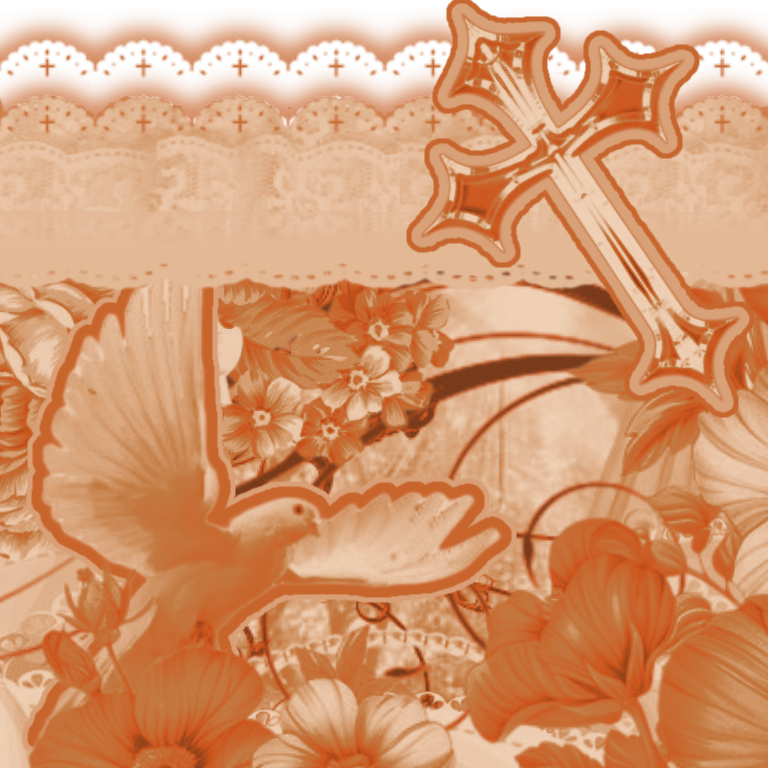 bottom image divider