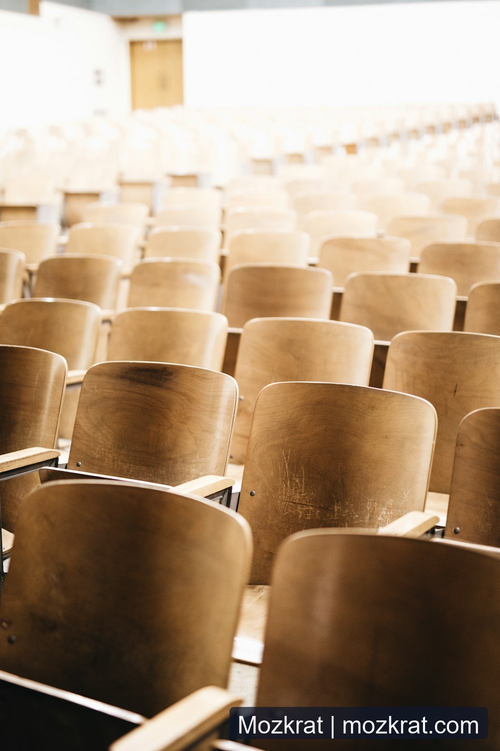 Diverse student body gathered on a vibrant, inclusive university campus.