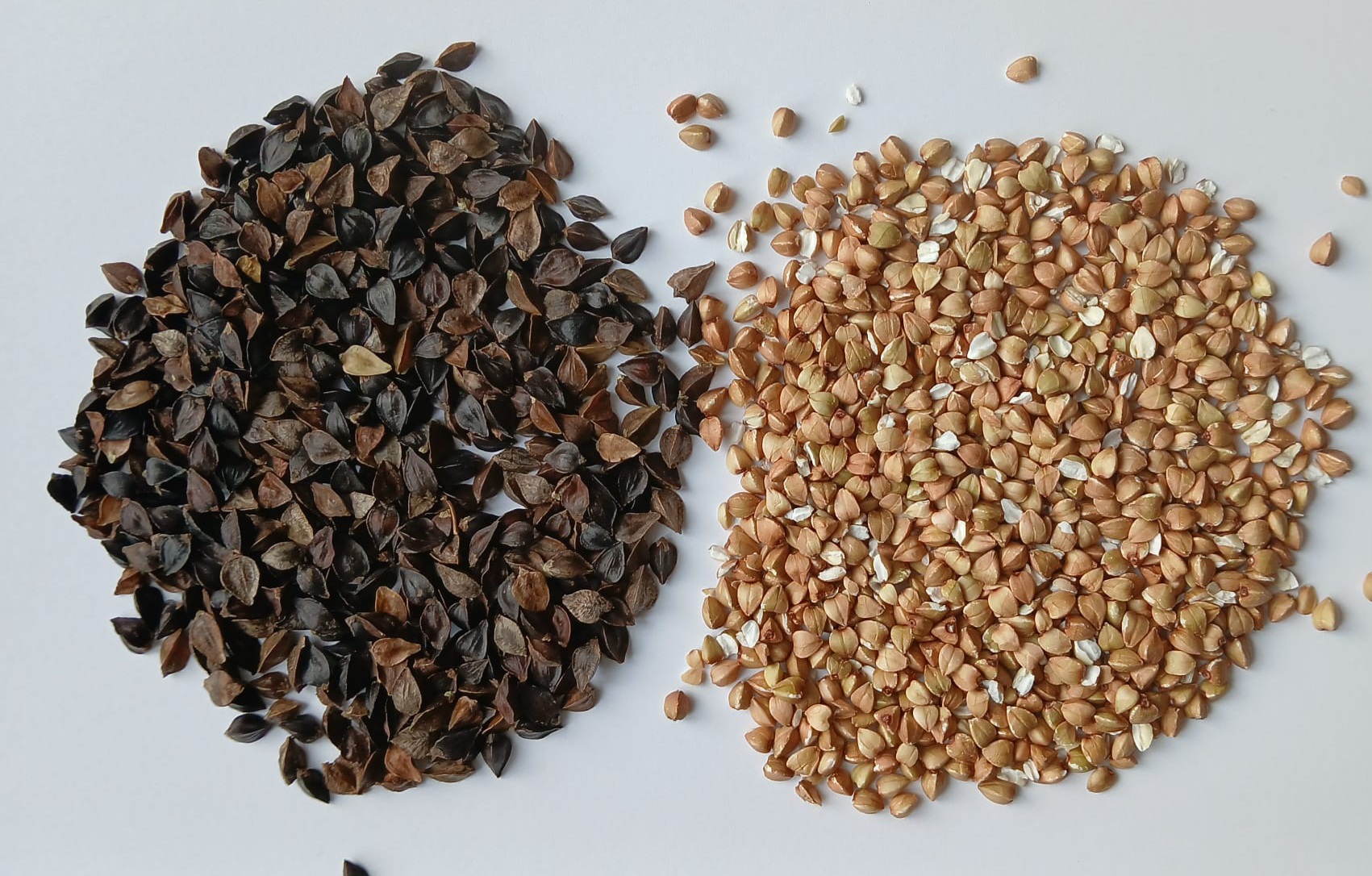Comparison of hulled buckwheat with raw and roasted buckwheat.