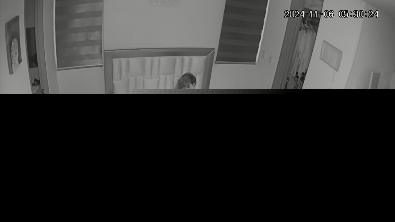 Hidden Voyeur — 1_5120938546957387803 — screenshot 2