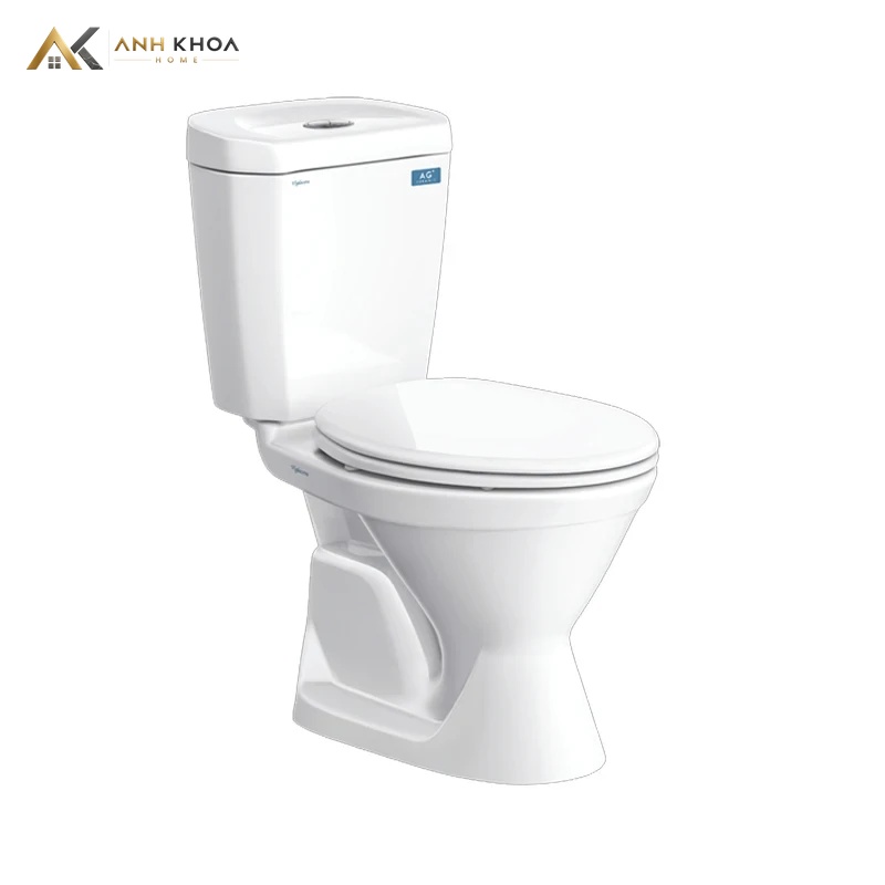 Bồn cầu 2 khối Viglacera VI66