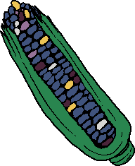 corn on the cob blue