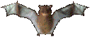 a gif of a dancing bat