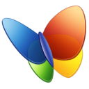 MSN Logo