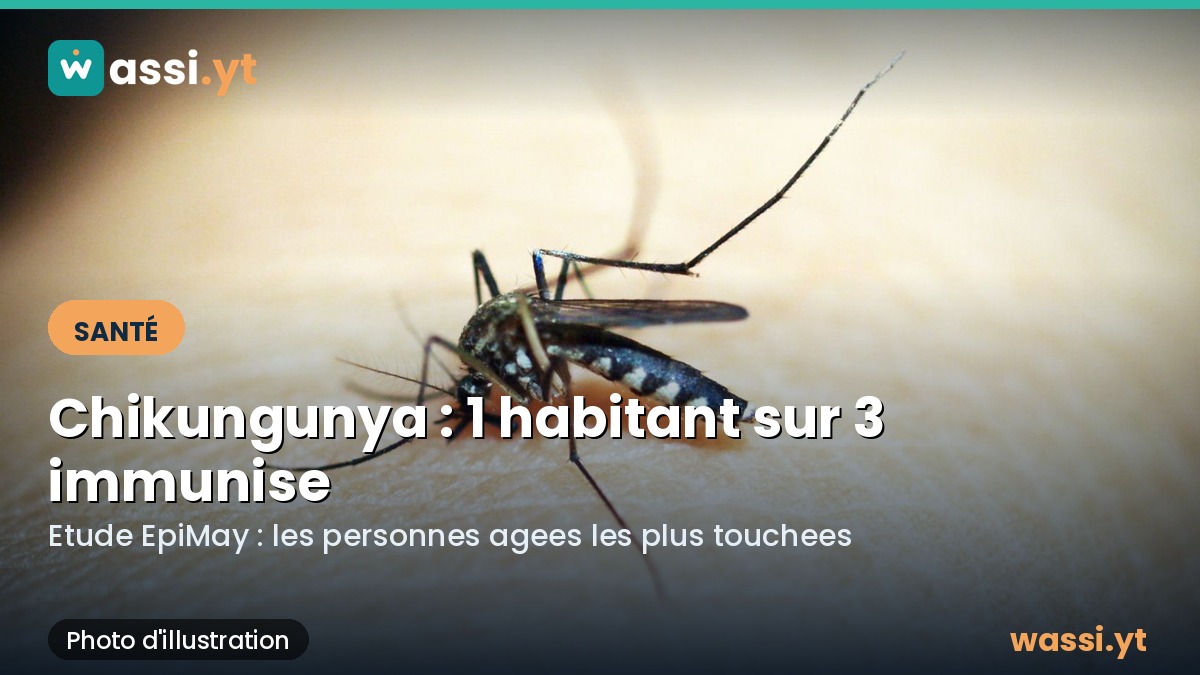 Chikungunya a Mayotte : un habitant sur trois immunise, les plus ages en premiere ligne