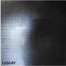 L66649