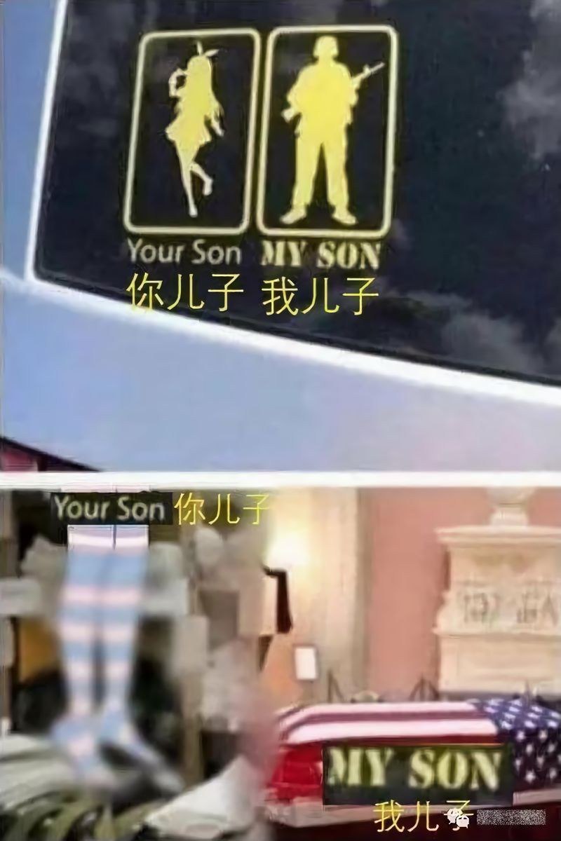 https://files.catbox.moe/byuqzr.jpg