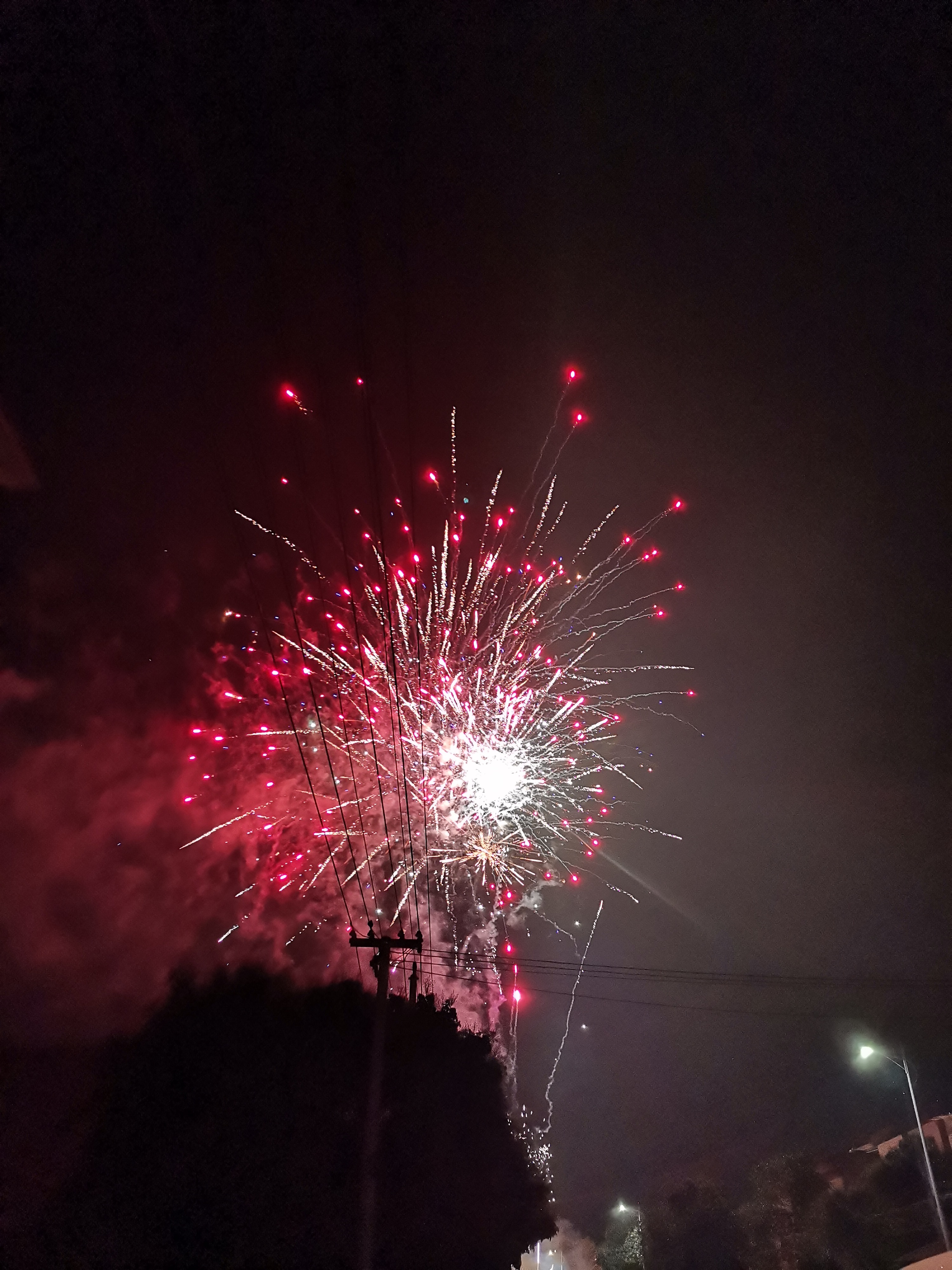 东风夜放花千树 更吹落 星如雨