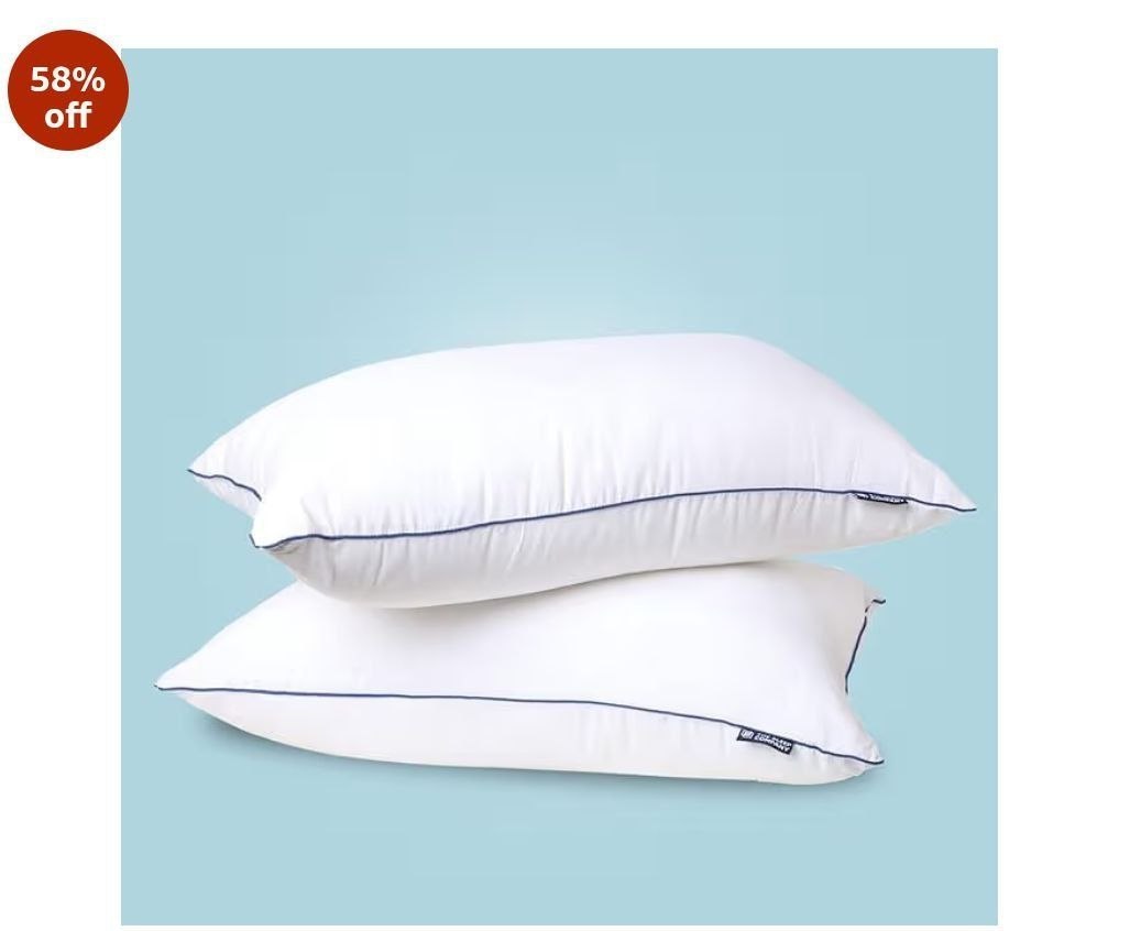The Sleep Company Plush Pillow