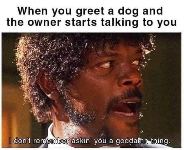 a meme showing a frame of Samuel L Jackson's character in Pulp Fiction saying "I don't remember asking you a goddamn thing!" with a caption above it that says "when you greet a dog and the owner starts talking to you"