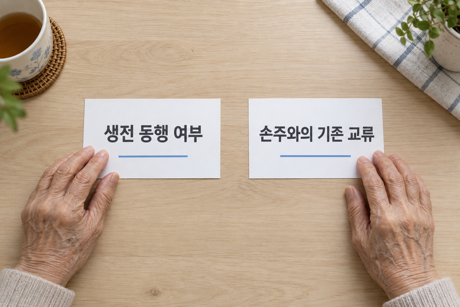 생전 동행 여부와 손주와의 기존 교류를 나눠 정리하는 설명 장면