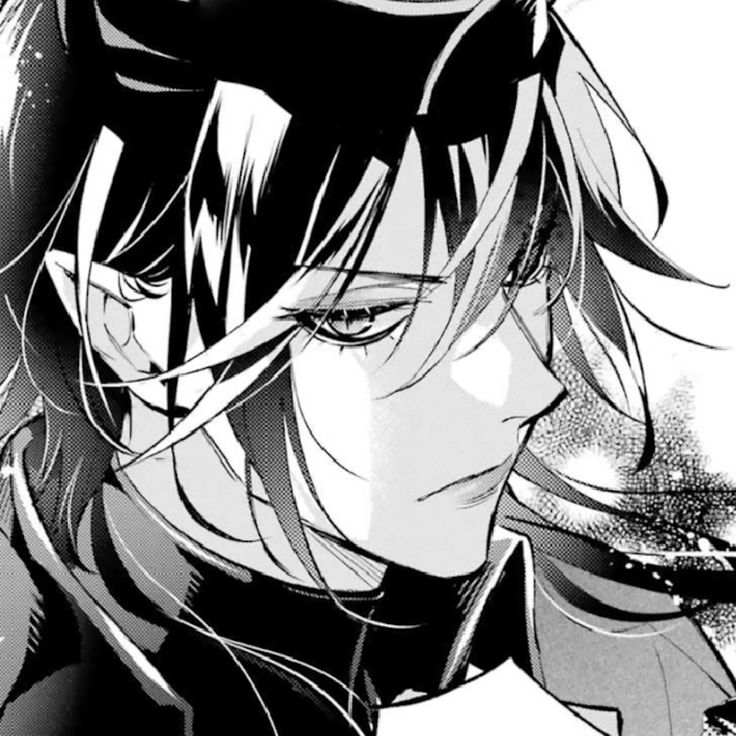 malleus draconia malleus draconia