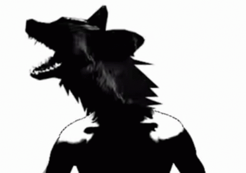 deer's profile picture