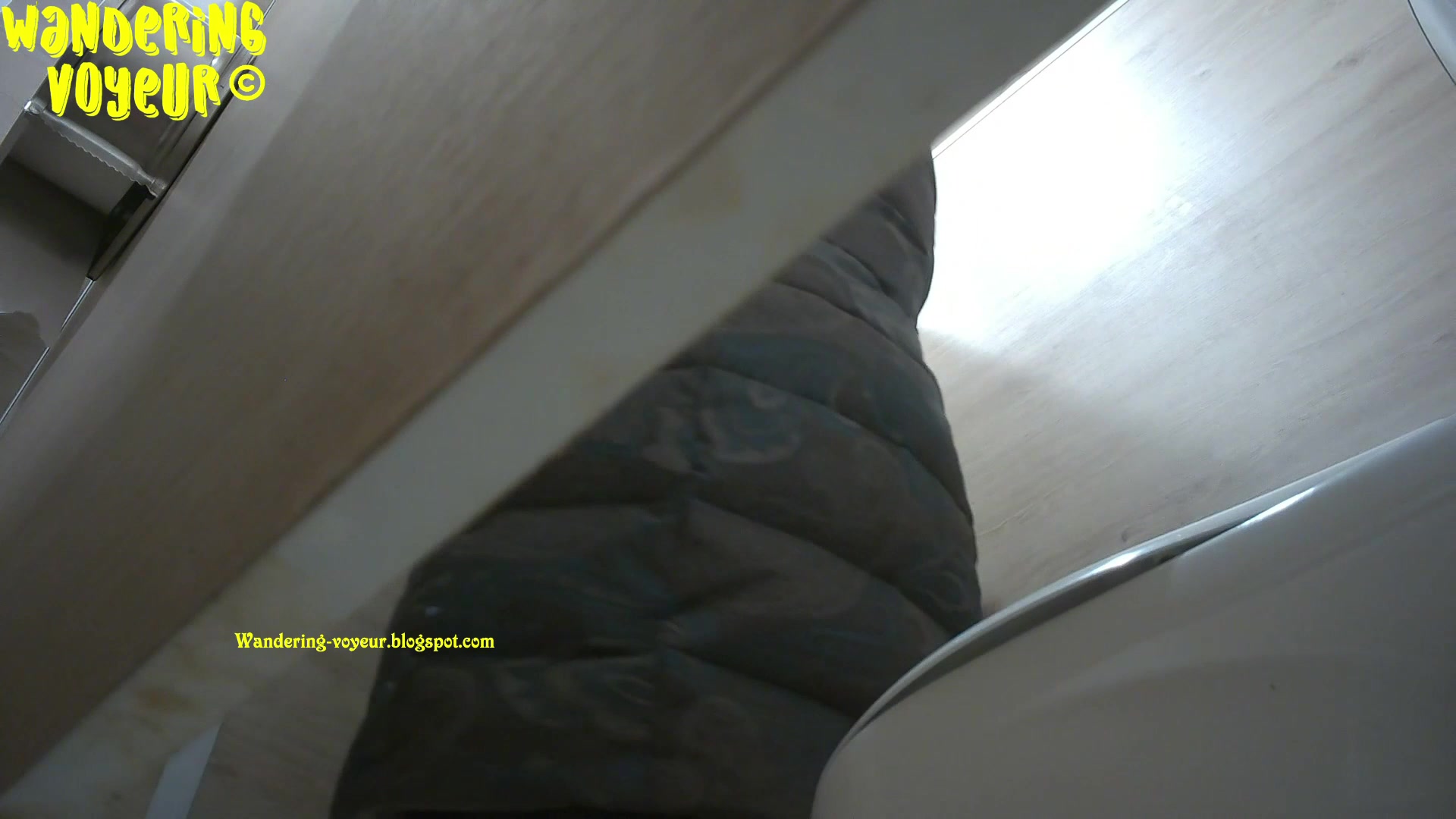 Toilet Spy — 0529(94) — screenshot 2
