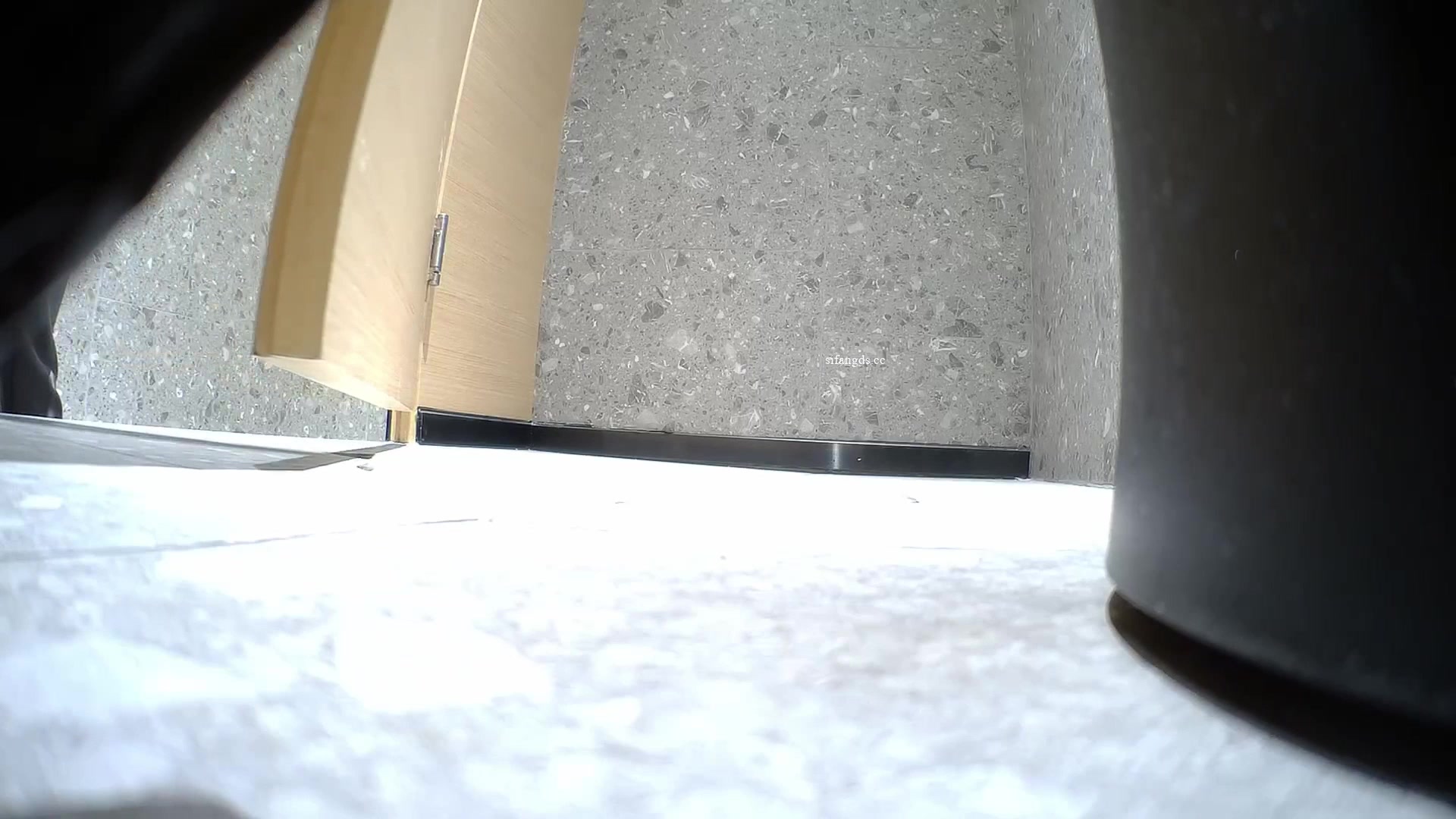 Toilet Spy — 0427(7) — screenshot 2