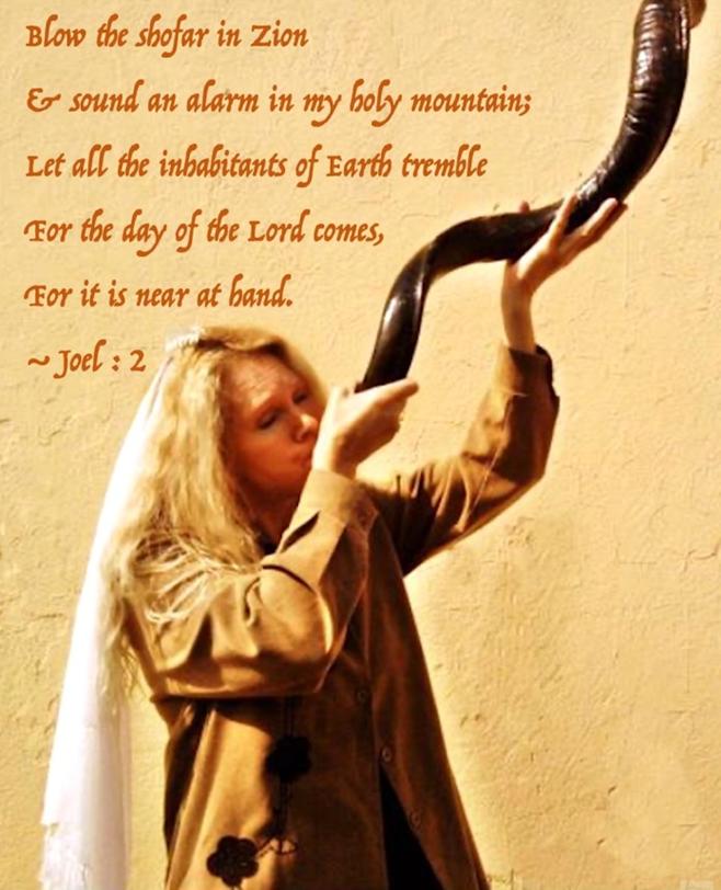 EBS、戒严令和一些新闻公告|Kat