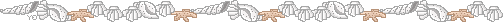 shelldivider2