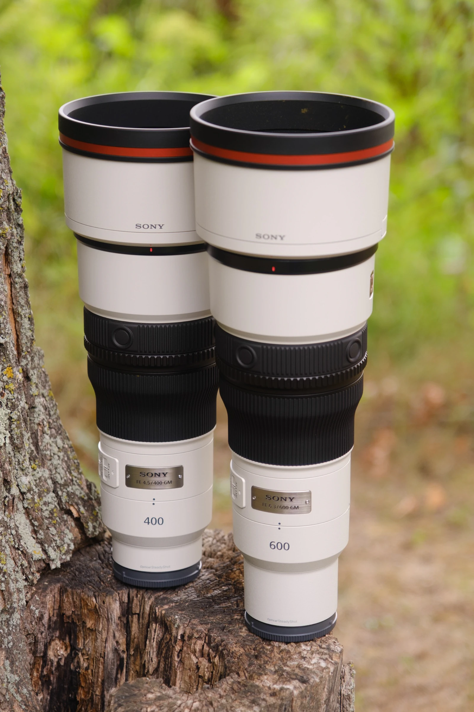 Sony Tele Prime: So Sánh 400mm/600mm Mới Siêu Nhẹ Giá Tốt - Hình 1