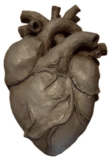 heart.
