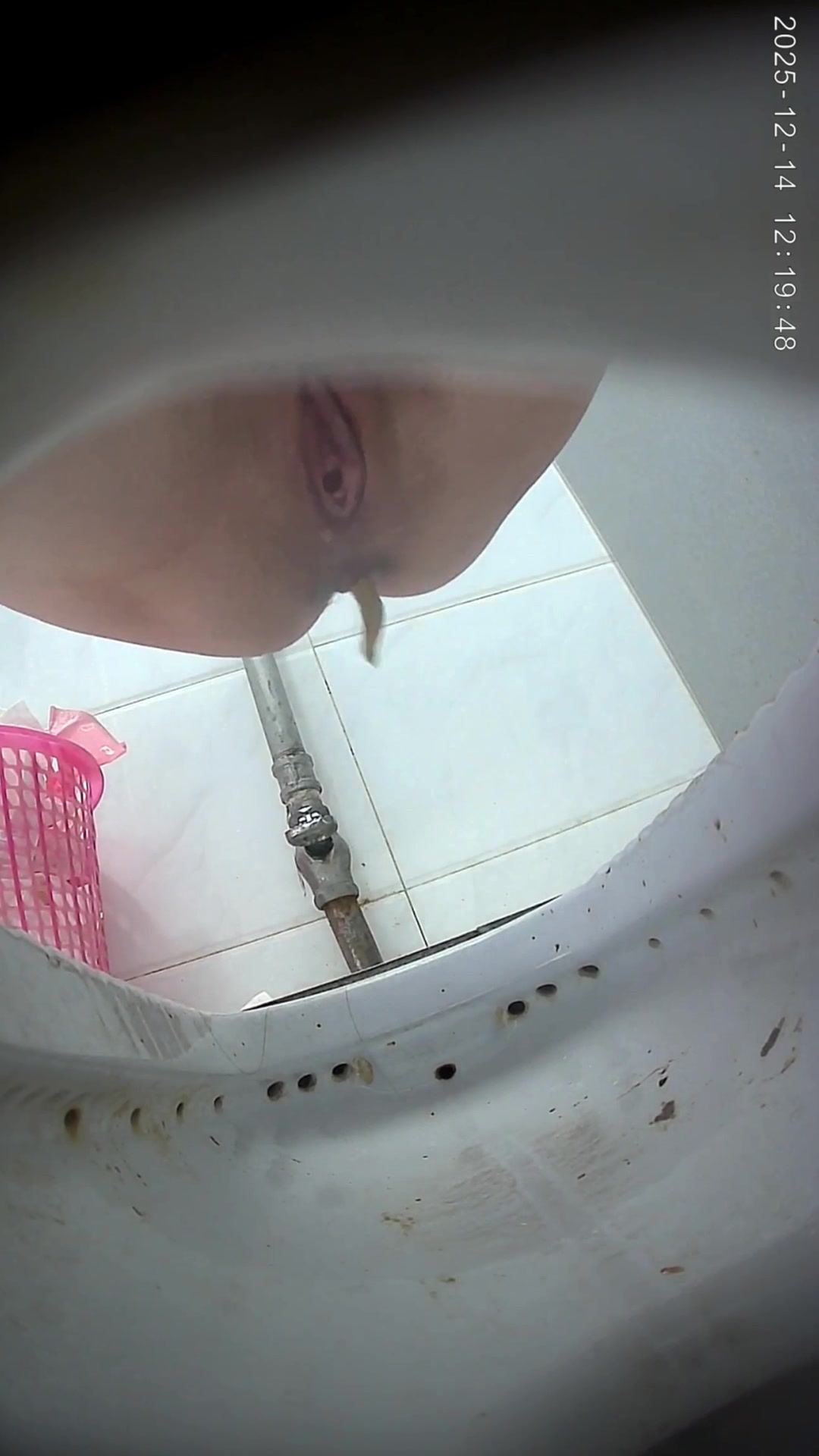 Toilet Spy — 0508(29) — screenshot 2