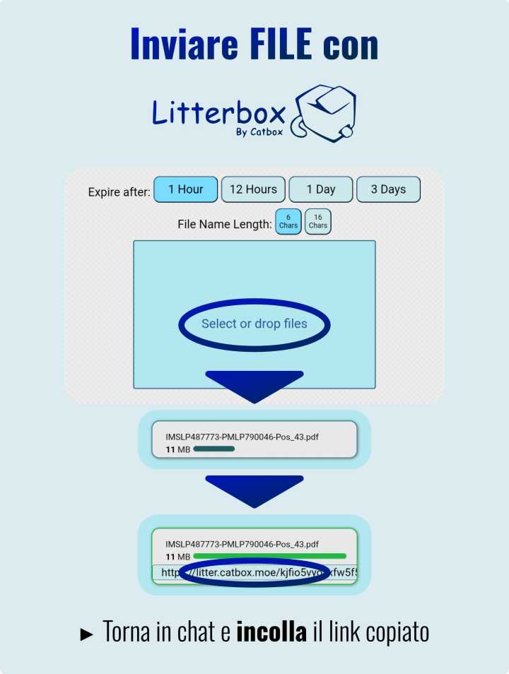 Uso di Litterbox per inviare file