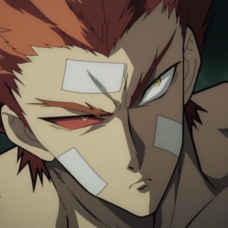garou from opm!!