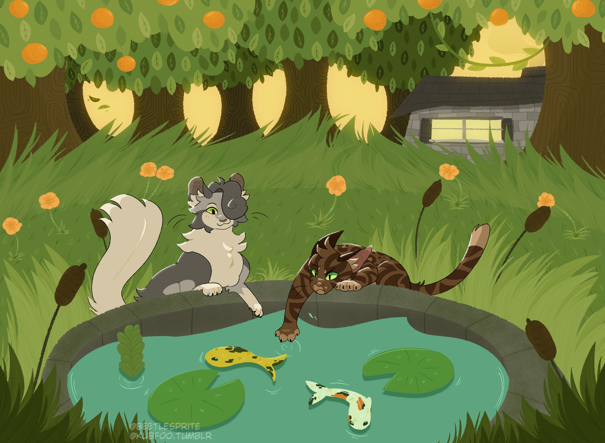 A digital drawing of two cats fishing koi out of a man-made pond in the middle of a forest. One cat, Juniperpaw, is a gray tabby. She smiles as she dabs a paw at the water. The other cat, Applepaw, is a brown tabby. He is reaching his entire arm into the pond, trying to get at the fish. In the background are orange-bearing trees and a house with smoke rising from the chimney. It's daybreak.