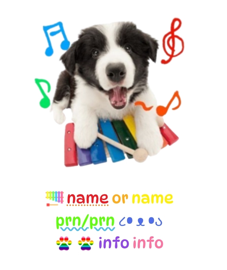 Border Collie Rentry Template