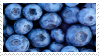 blueberries