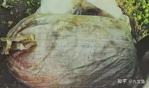 Hình hiện trường 3