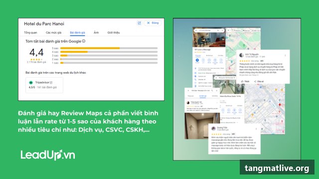 Dịch vụ tăng view Google tại Tangmatlive.org