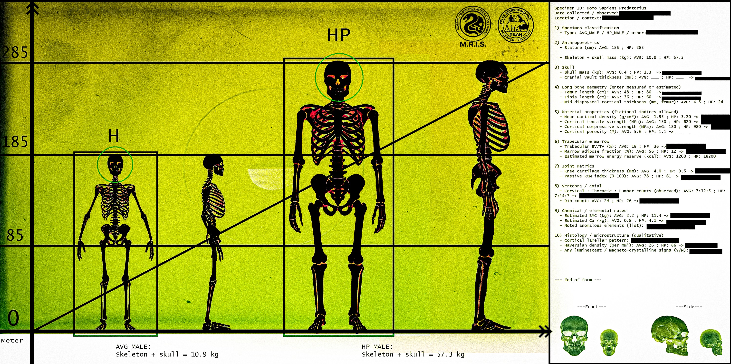 Research Image 5