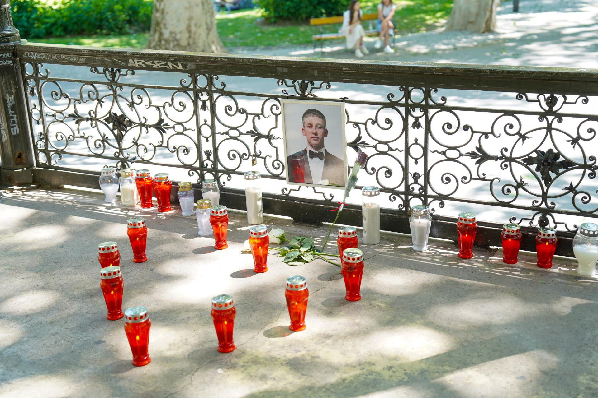 Zagreb za Luku Milovca - slika 5