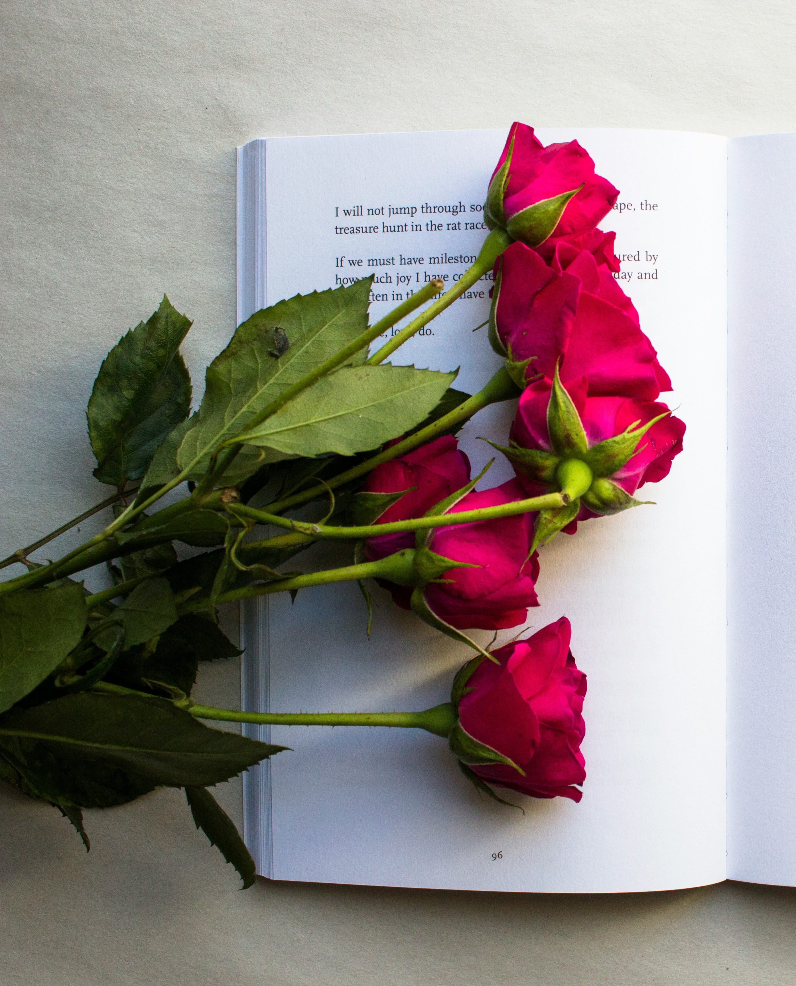 Yudha Mahatmah Torie