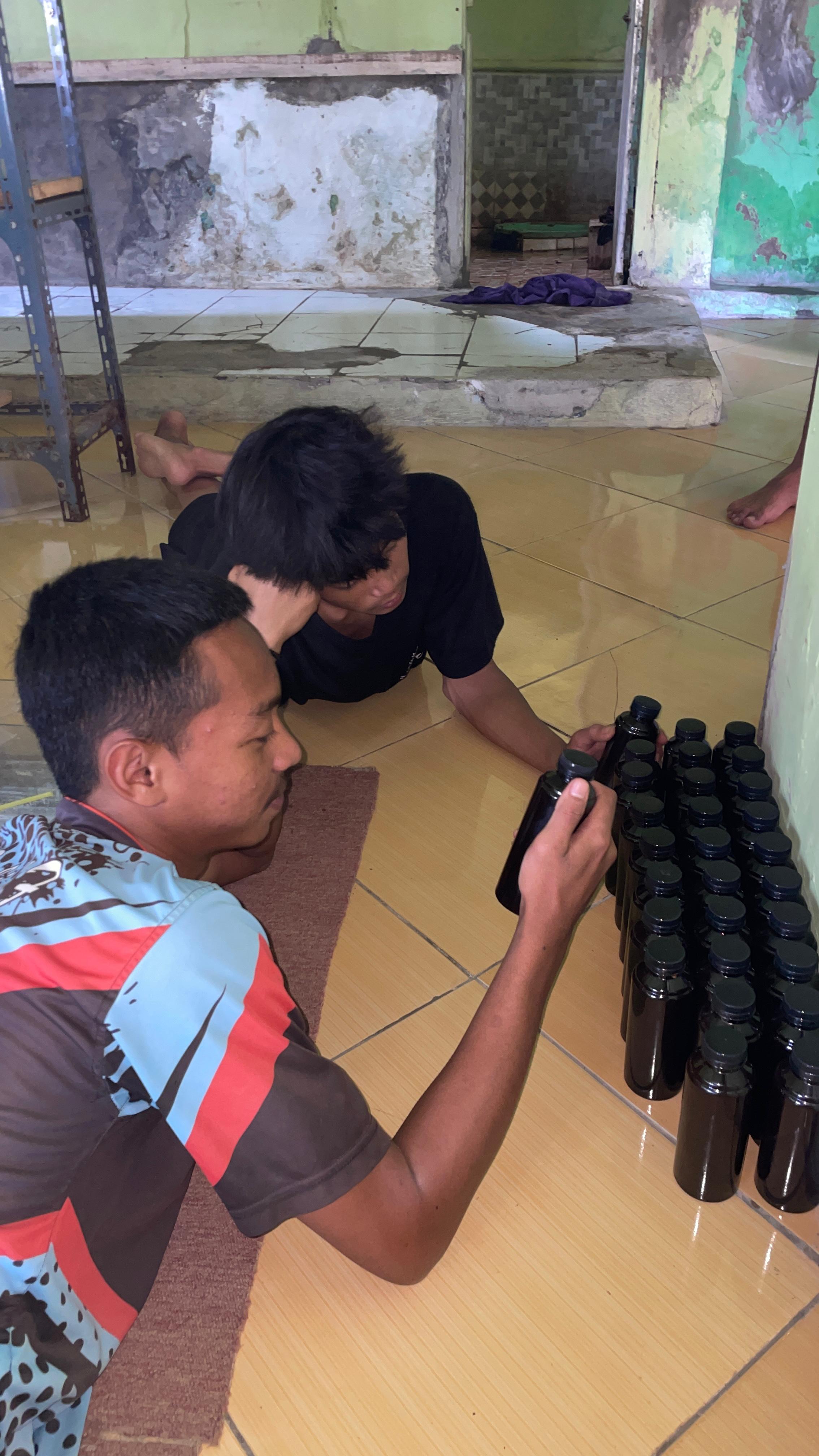 daun ketapang
