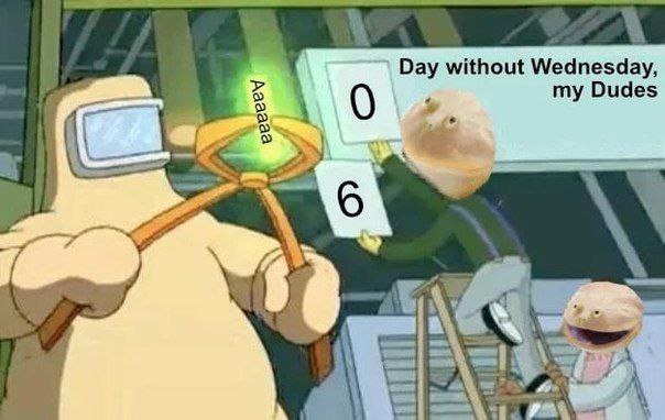 a frog replacing the days without Wednesday counter to zero. Its Wednesday my dudes