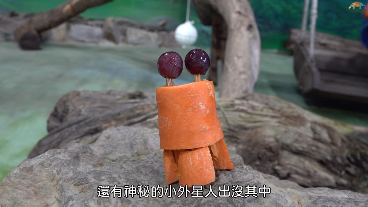 [問卦] 貓熊圓仔生日的外星玩偶食物可愛嗎?(發錢 - 八卦 - PTT.BEST 批踢踢爆文 3