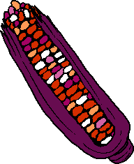 lesbian flag colored corn on the cob